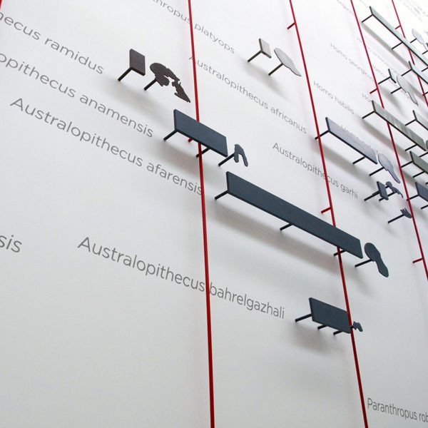 Museo de la Evolución Humana